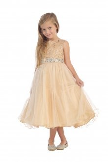 Champagne Sleeveless Shiny Tulle Flower Girls Dress with Beaded Waist